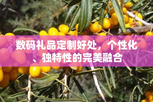 数码礼品定制好处，个性化、独特性的完美融合