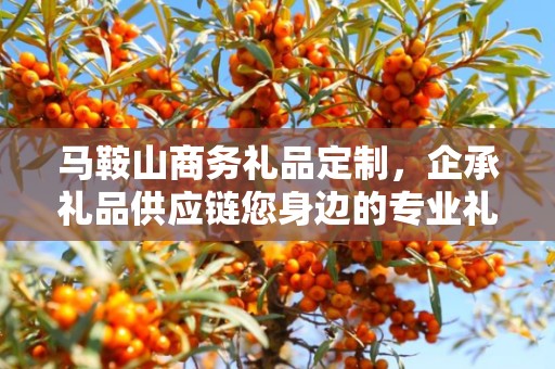 马鞍山商务礼品定制，企承礼品供应链您身边的专业礼品定制公司